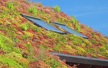 Fauldshope living roof systems